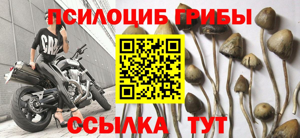 Псилоцибиновые грибы прущие грибы  Вход с VPN  Киров  Галлюциногенные грибы ЛСД 